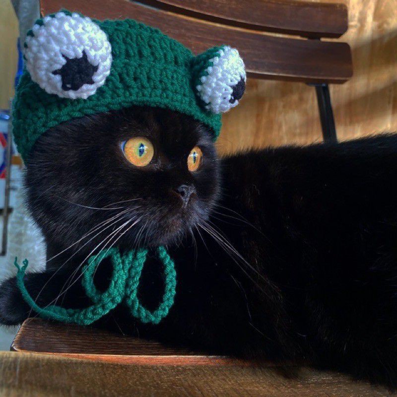 Mũ Len cho chó mèo