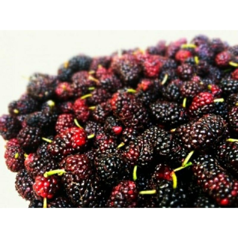 dâu tây sấy dẻo