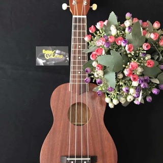 Đàn Ukulele soprano KLM