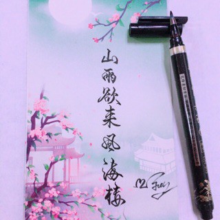 Bút lông dạ Luyện Viết Chữ Hán, Tiếng Trung Thư Pháp - BL02- QQBooks