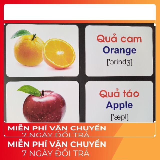 Bộ Thẻ Học Thông Minh 18 Chủ Đề Thế Giới Xung Quanh loại To song ngữ A-V chuẩn Glenn Doman Flashcard cho bé từ 0-6 tuổi