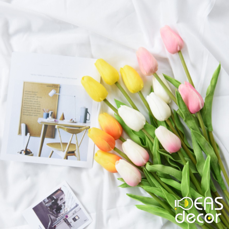 Hoa tulip - Trang trí lọ hoa, cây cảnh, trang trí nhà cửa, home decor - Ideasdecor