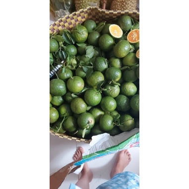 1 kí Cam Sành Cam Tươi Cam Vắt Từ Vựa Giao Nhanh Toàn TPHCM | BigBuy360 - bigbuy360.vn