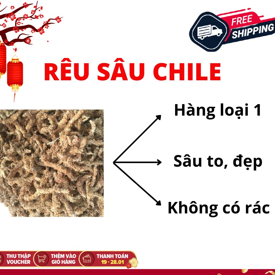 1kg rêu sâu chile loại đẹp làm giá thể trồng lan