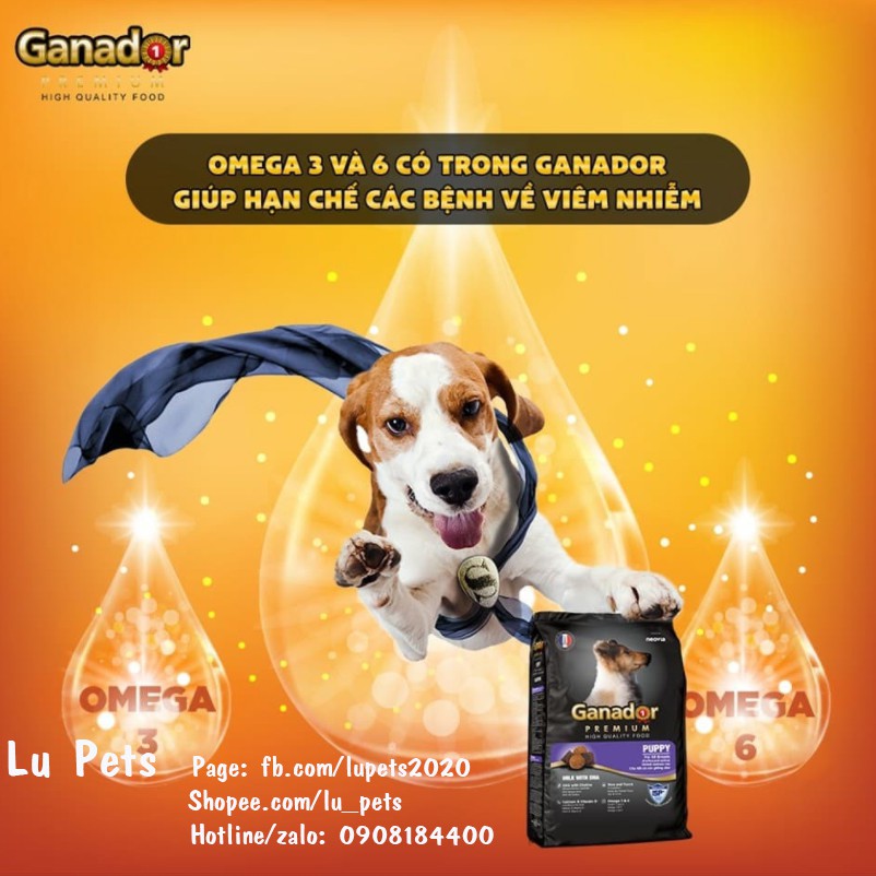 Thức ăn chó nhỏ Ganador Puppy 400g | Hạt khô cho chó con Ganador Puppy 400g