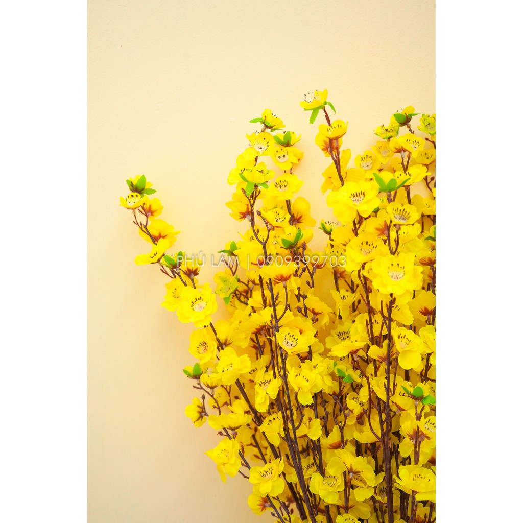 [HCM] 01 CÀNH MAI ĐÀO LÁ - CAO 1m - TRANG TRÍ TẾT LOẠI ĐẸP