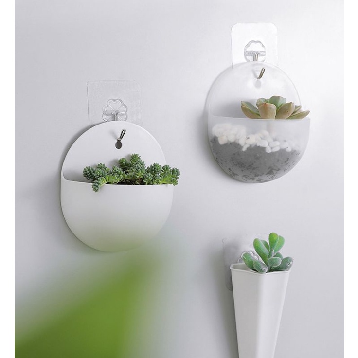 Chậu nhựa trồng cây treo tường trong nhà (4 mẫu),,,,,,