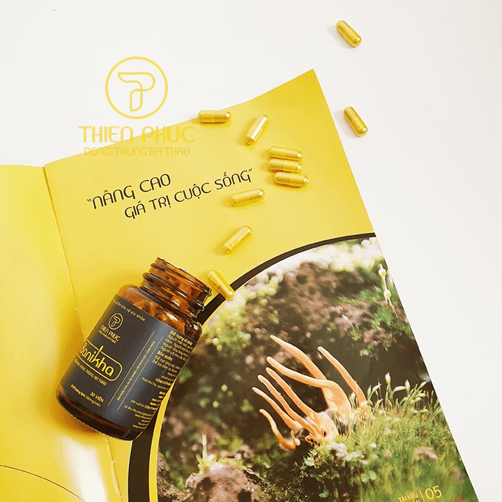 Đông trùng hạ thảo Banikha Thiên Phúc dạng viên nang