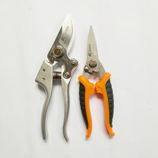 COMBO KÉO CẮT,TỈA CÂY CẢNH KAPUSI NHẬT BẢN