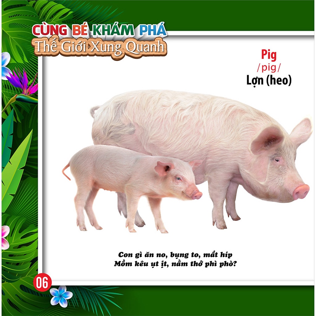 Sách - Cùng Bé Khám Phá Thế Giới Xung Quanh - Động Vật - Sách Song Ngữ