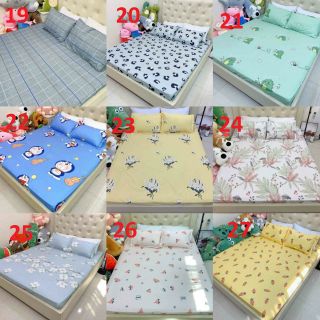 Bộ ga và 2 vỏ gối cotton poly