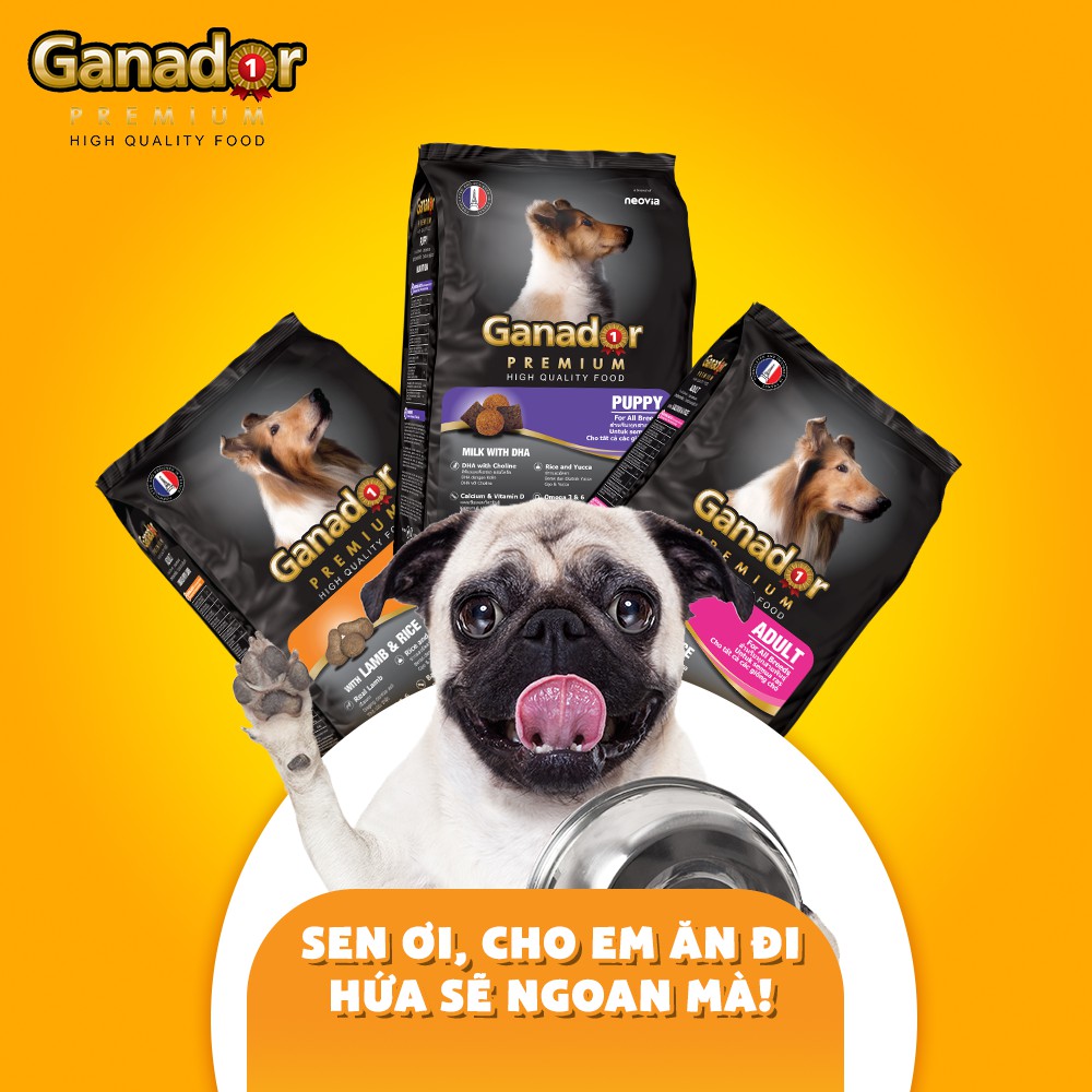 [400g] Hạt Ganador Puppy cho chó con vị Sữa & DHA