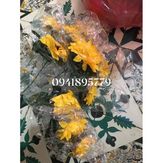 20 set bóng lồng hoa kèm que