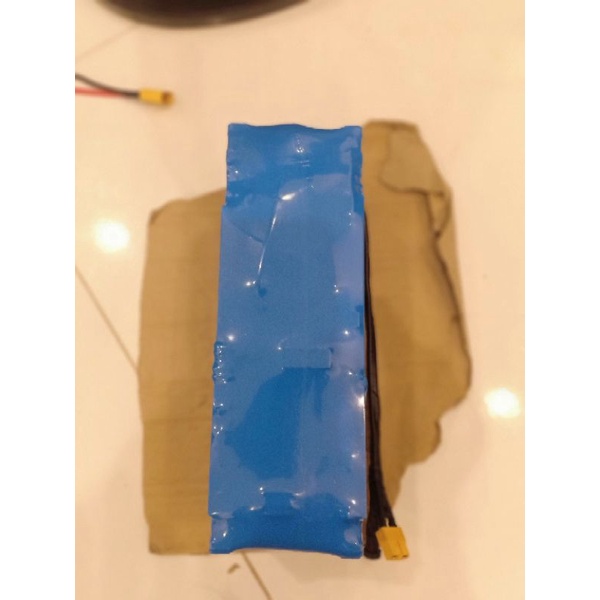 Pin xe điện 48v 10AH & 12AH