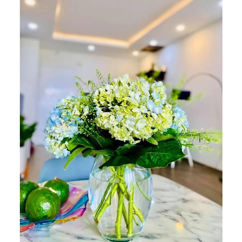 Chum thủy tinh cắm hoa, trồng thủy sinh, làm bể cá mini, bình thủy tinh trong suốt, dày dặn