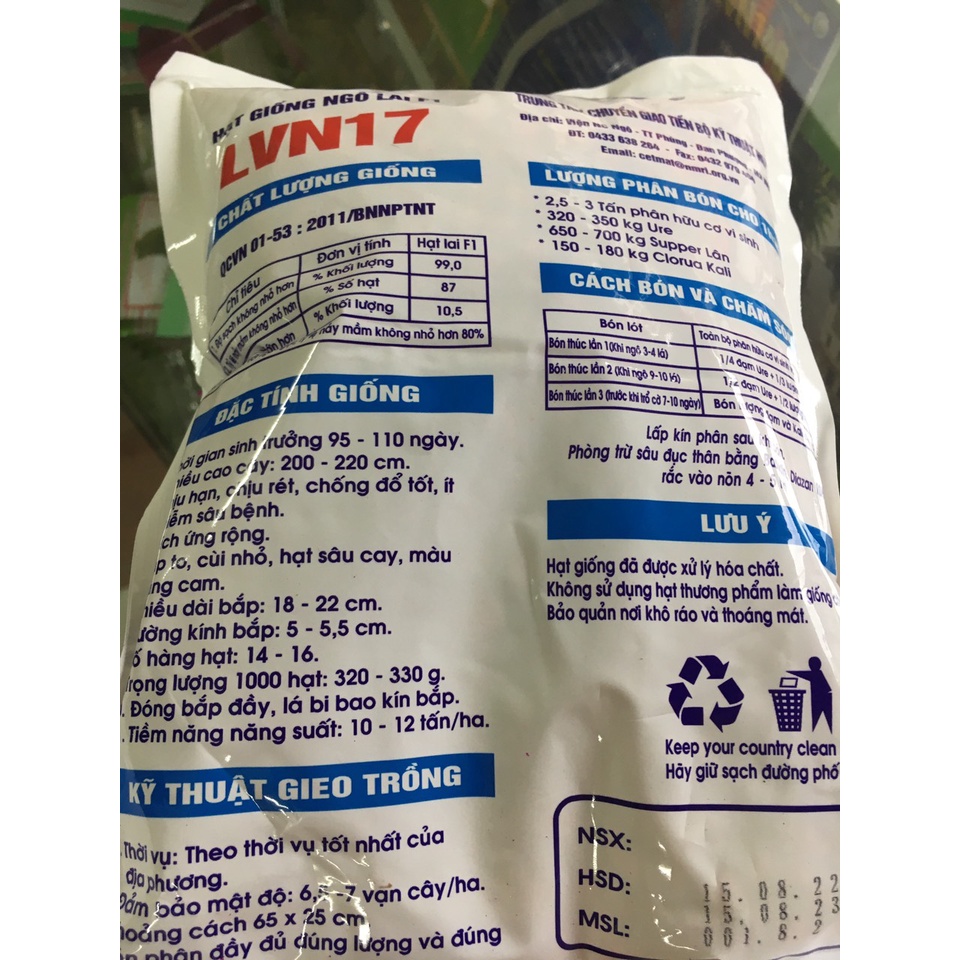 Giống ngô lai F1 LVN17