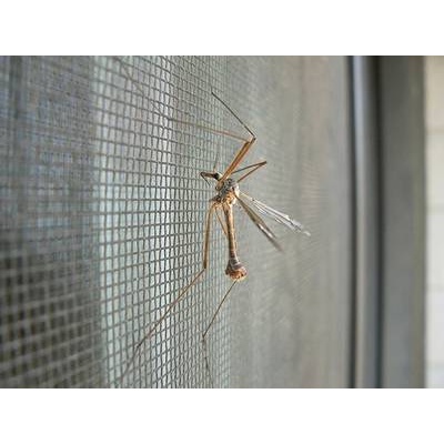 Lưới thủy tinh gia cường cho lớp vữa chống nứt và gia cường chống thấm dễ thi công,làm lưới chống muỗi .Vmix.