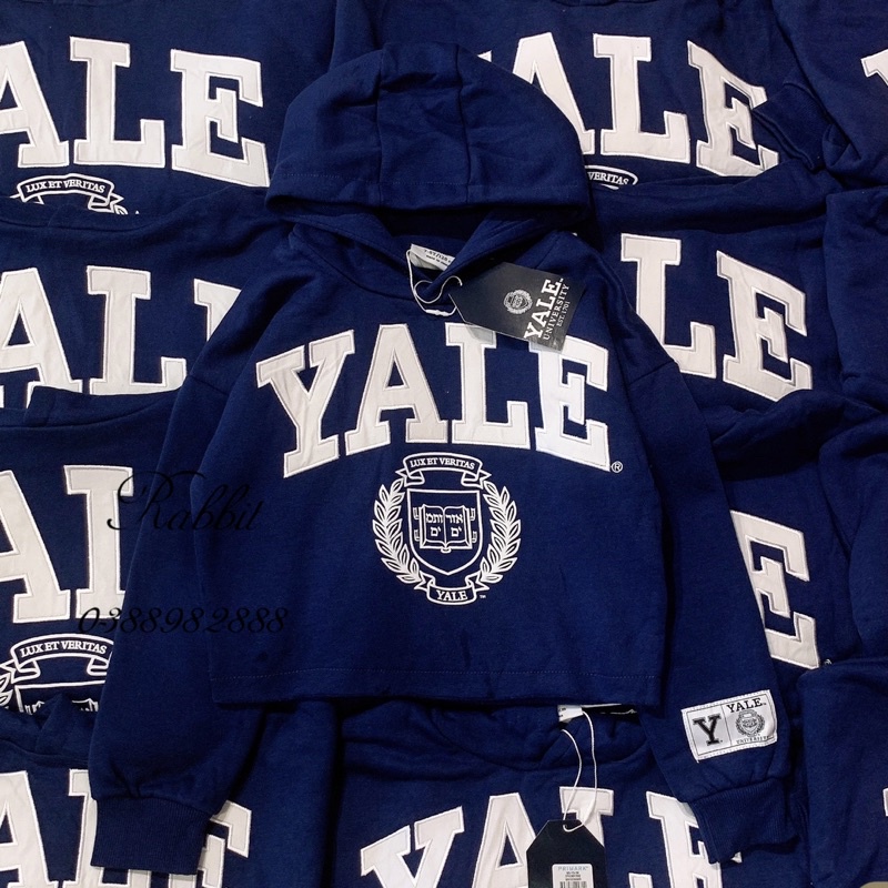 Áo hoodie nỉ Yale croptop