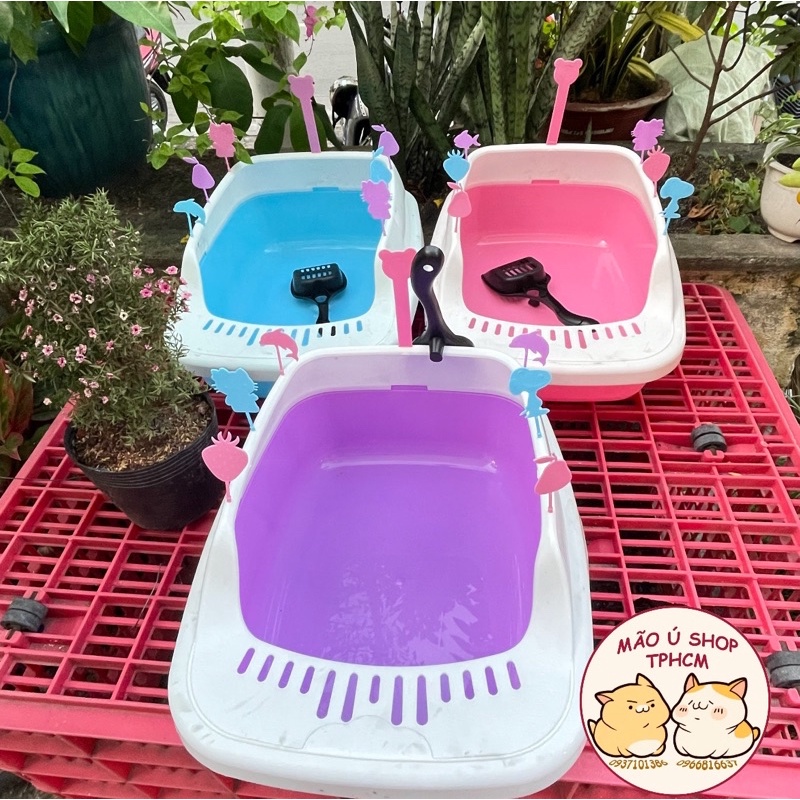 KHAY VỆ SINH CHO MÈO THÀNH CAO KÈM XẺNG VÀ ICON GẮN THÀNH