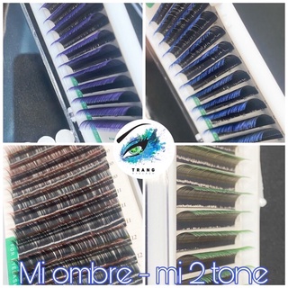 -mi ombre/ mi 2 tone/ mi cầu vồng/ mi galaxy lông mi nối - mi màu