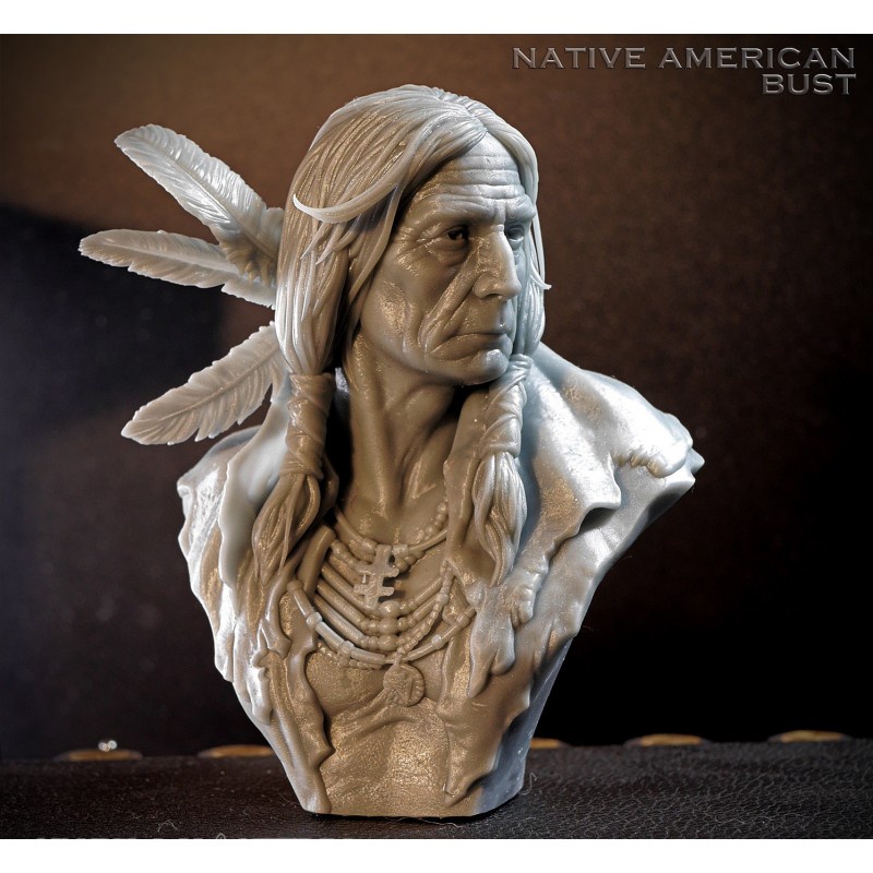 File in mô hình 3D Native American Bust