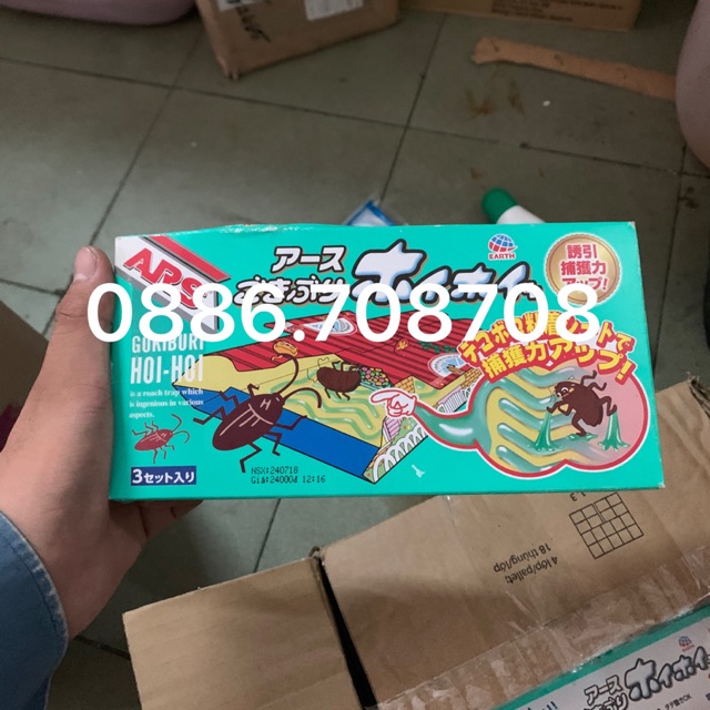 Combo 3 miếng bẫy gián Hoi hoi