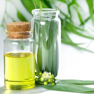 Tinh Dầu Bạch Đàn Chanh Organic ( Lemon Eucalyptus essential oil) 10ml