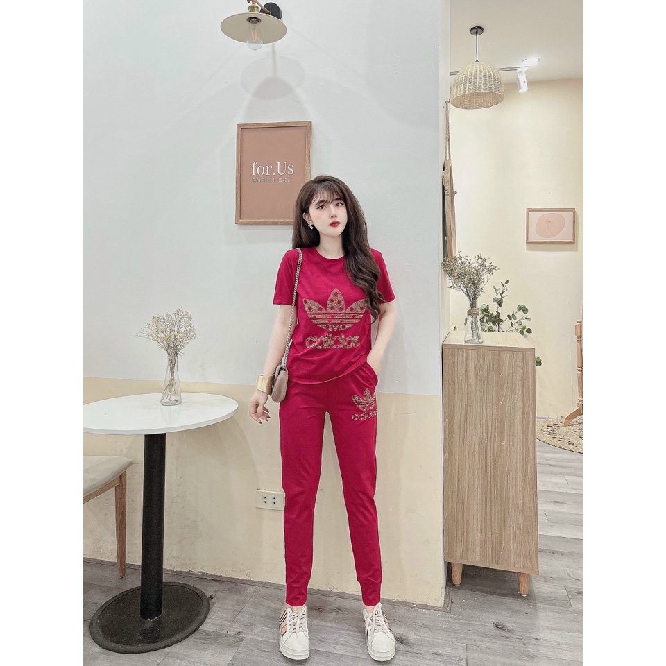 Đồ bộ dài thun cotton đính đá ba lá
