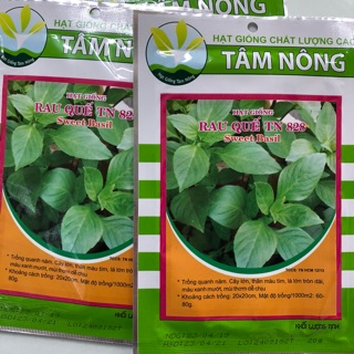 Hạt giống Rau Quế