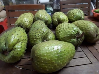 Mãng Cầu Sấy Dẻo