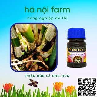 ORG HUM - Bung Rễ, Bật Mầm (chai 100ml)