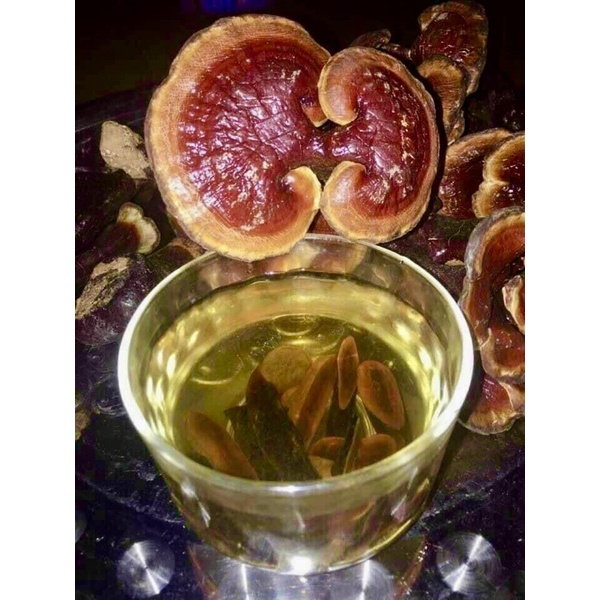 ⚡️SALE⚡️500g Nấm Lim xanh rừng Tây Bắc chuẩn rừng tự nhiên hỗ trợ bênh gout