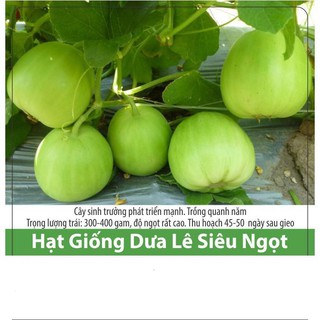 Hạt Giống Dưa Lê Siêu Trái, Siêu Ngọt 0.5gr