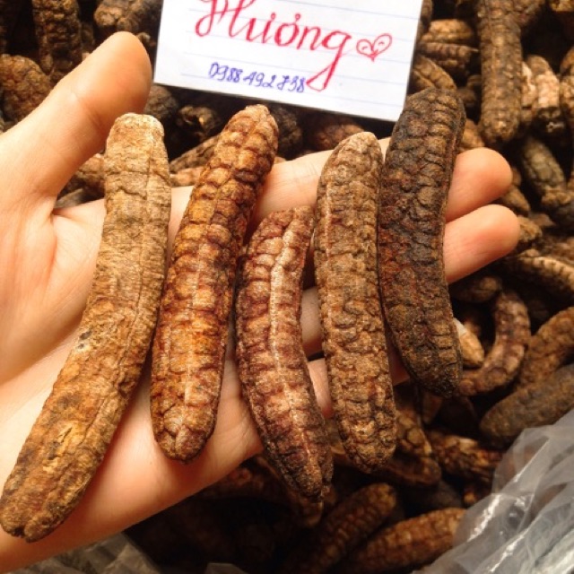 Chuối hột rừng quả chín 1kg - phơi sạch thơm ngon