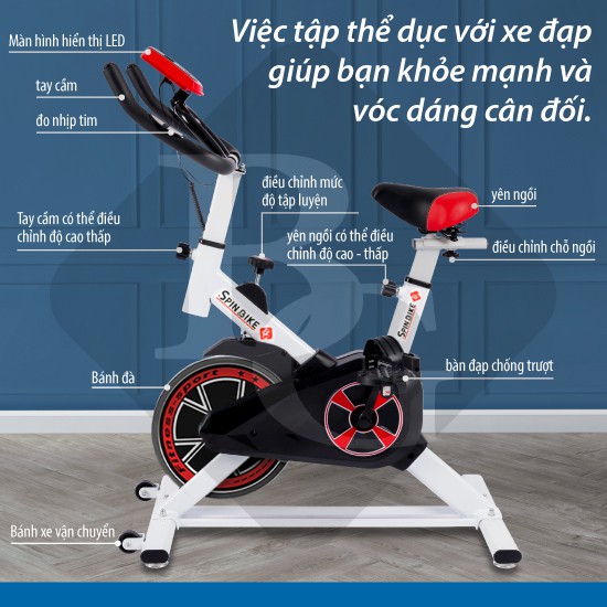 BG Xe đạp tập thể dục thể thao 3 MÀU HOT Spining bike S303