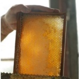 MẬT ONG HOA VẢI ĐÓNG CAN 2 LÍT CAO CẤP CHUẨN 100% - THẾ HỒNG HONEY