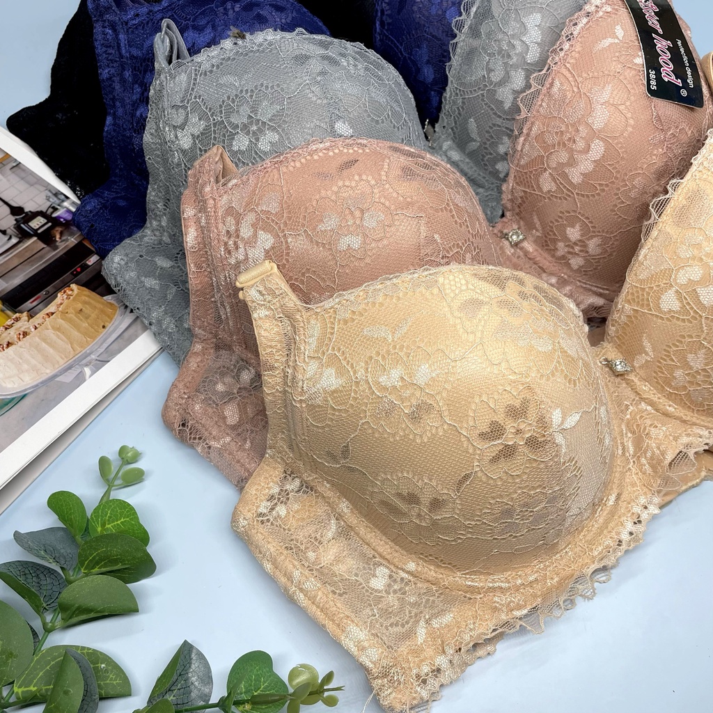 Áo lót nữ có gọng , áo ngực ren đệm mỏng bigsize 2452 không gian eva KGE