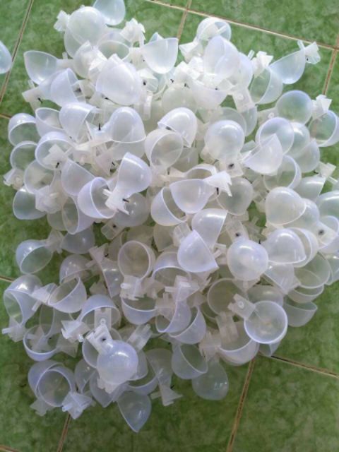 Máng uống nước tự động hình bán nguyệt