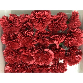 Hoa Cẩm chướng sáp