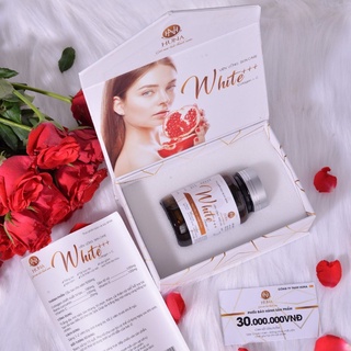 Hộp nội tiết White+++ (loại mới chính hãng)