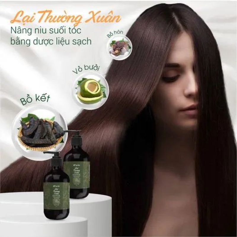 Combo dầu gội, xả lại thường xuân