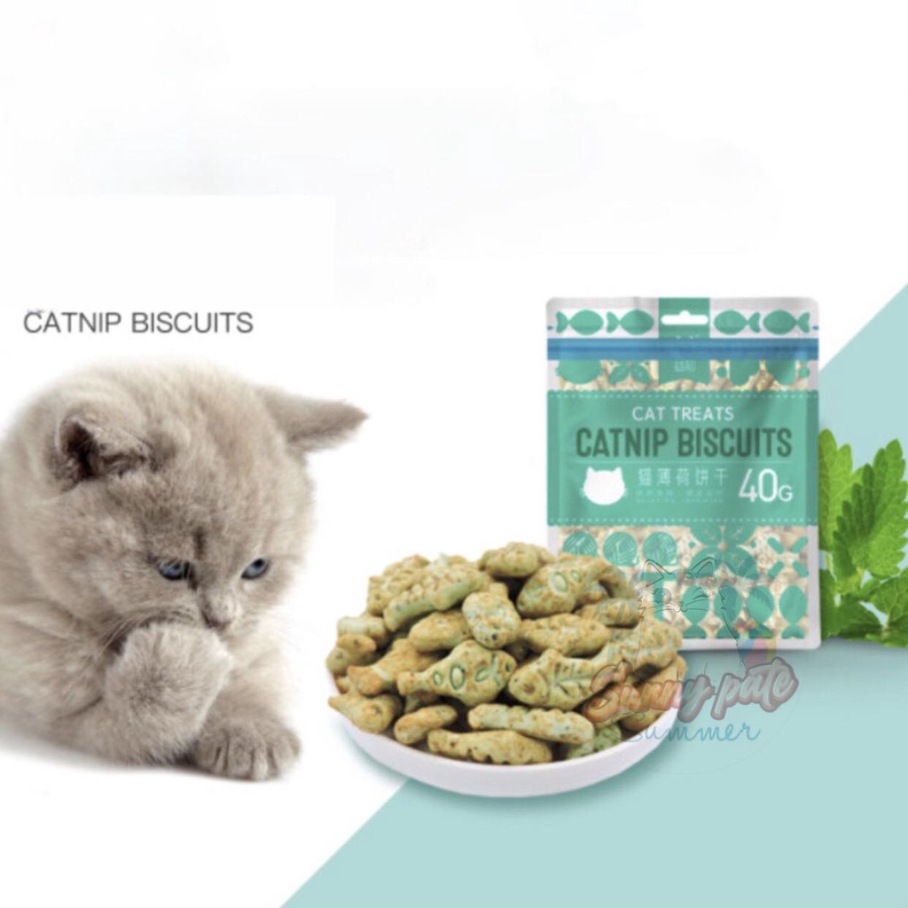 BÁNH QUY CATNIP BISCUITS TIÊU BÚI LÔNG SẠCH RĂNG CHO MÈO 40G - SNACK THƯỞNG MÈO CATNIP