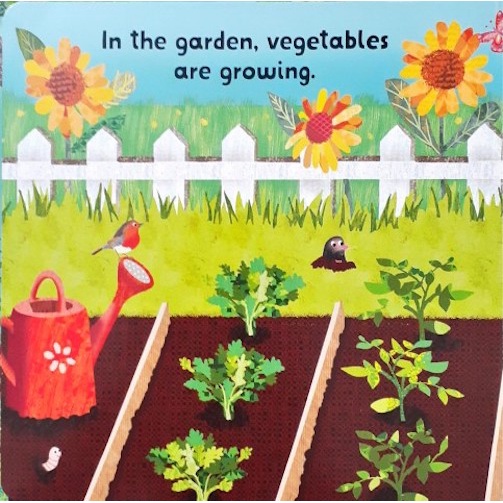 Sách - Anh: Kew, Lift and Look Fruit and Vegetables