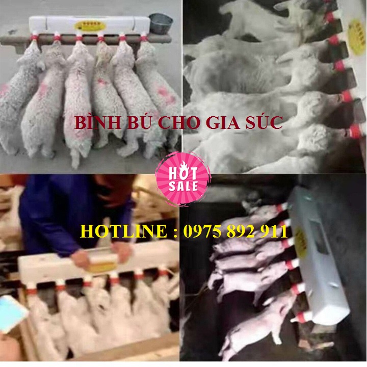 Bình bú cho heo,dê, cừu , chó - hợp với gia súc