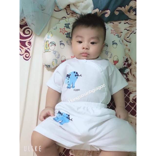 BỘ SƠ SINH NOUBABY NGẮN TAY  CÚC CHÉO