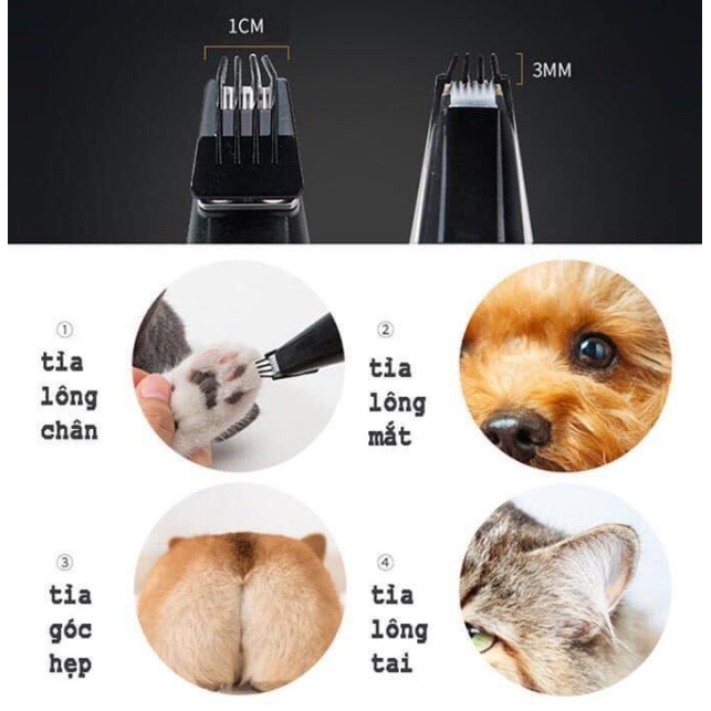 Tông đơ cạo lông bàn chân chó mèo