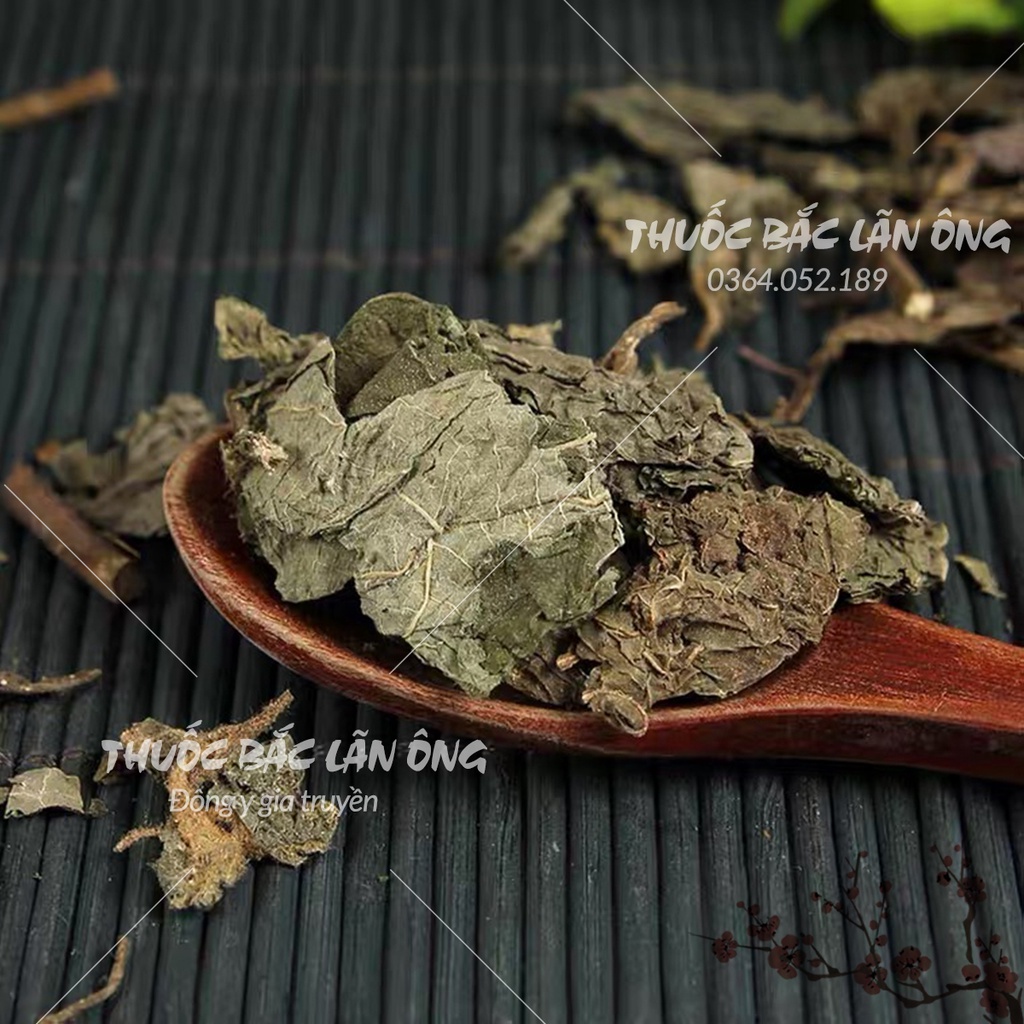 Lá dâu tằm sấy khô 500g (Tang diệp)