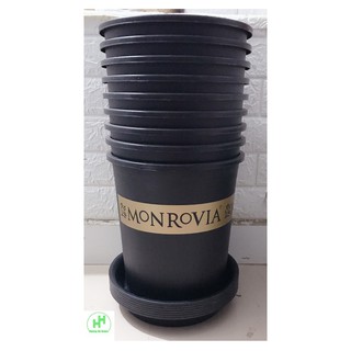 Combo 10 Chậu MONROVIA CH Garden 3Gal - Màu Đen + 10 Khay (Đĩa) Lót Đế Chậu 26 - Màu Đen