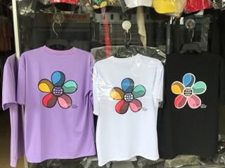 Áo hoa cúc 7 màu