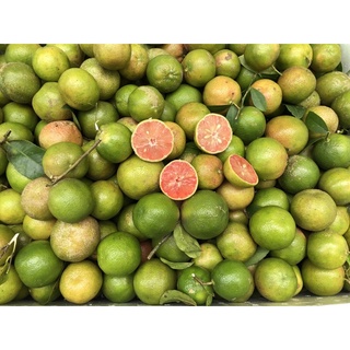 Quả Chanh Đào tươi-1kg